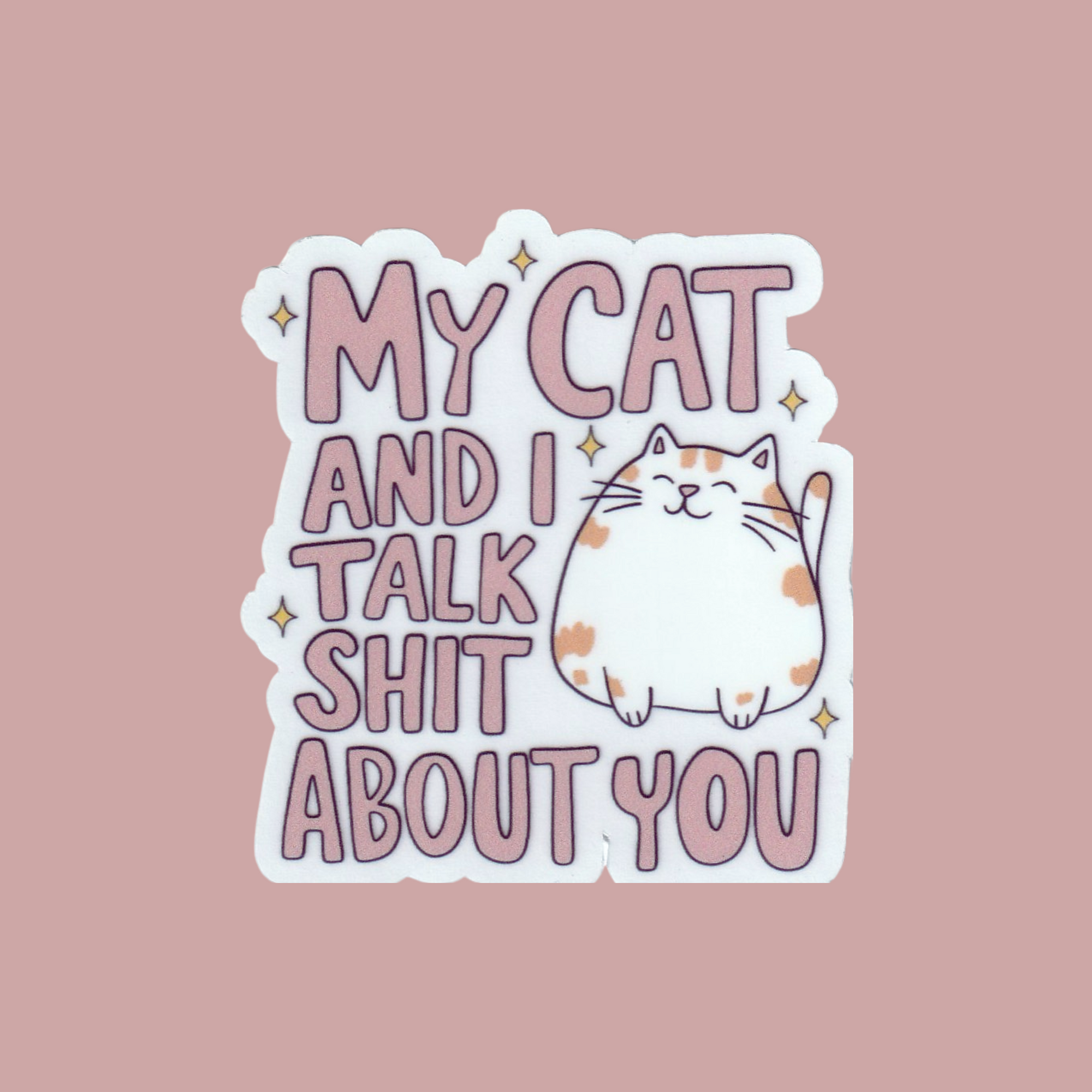 My Cat And I Talk Shit About You | Clear & Textured | 3 in